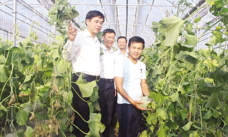 Hiệu quả chính sách hỗ trợ  thanh niên, phụ nữ khởi nghiệp