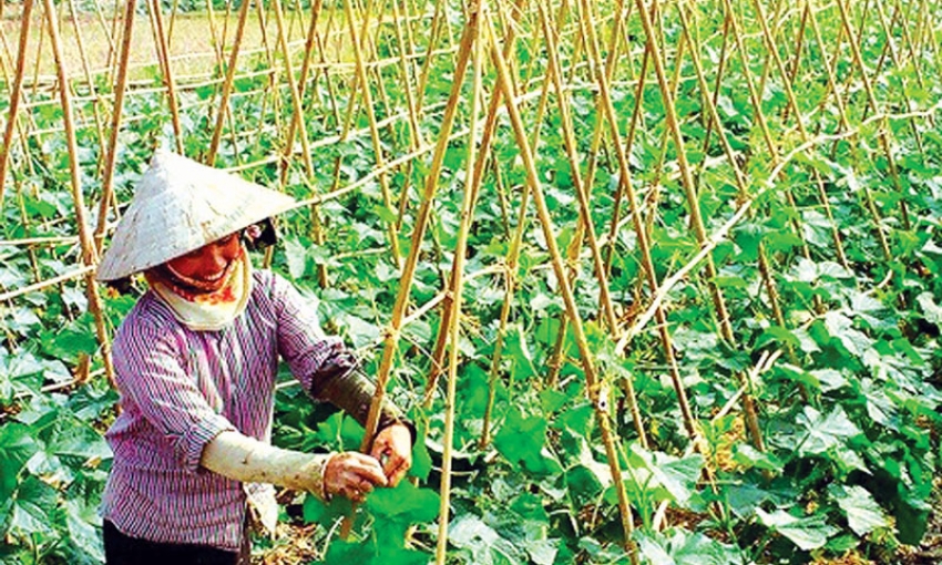 Yên Phong xây dựng Đảng vững mạnh để phát triển kinh tế