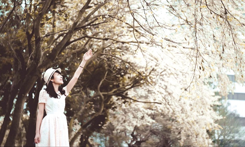 Chầm chậm mùa… sưa