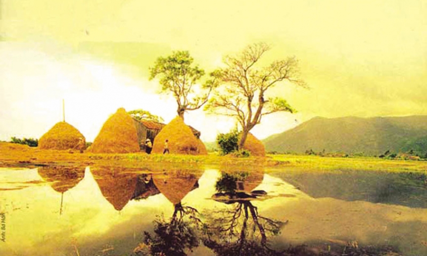 Nhà mẹ