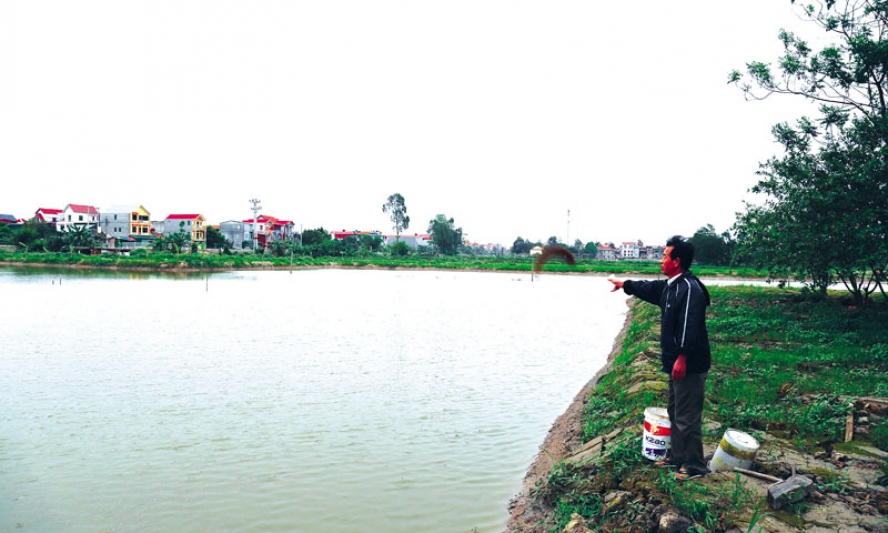 Phong trào “Cựu chiến binh gương mẫu” ở xã Song Hồ