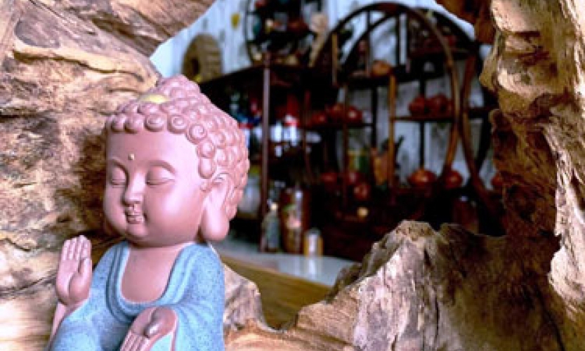 Tâm Từ