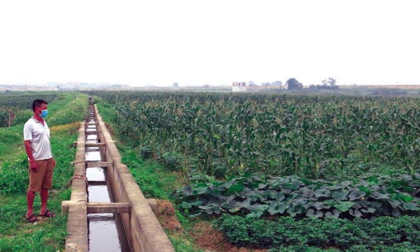 Chi bộ Xuân Cai đoàn kết  lãnh đạo phát triển kinh tế-xã hội