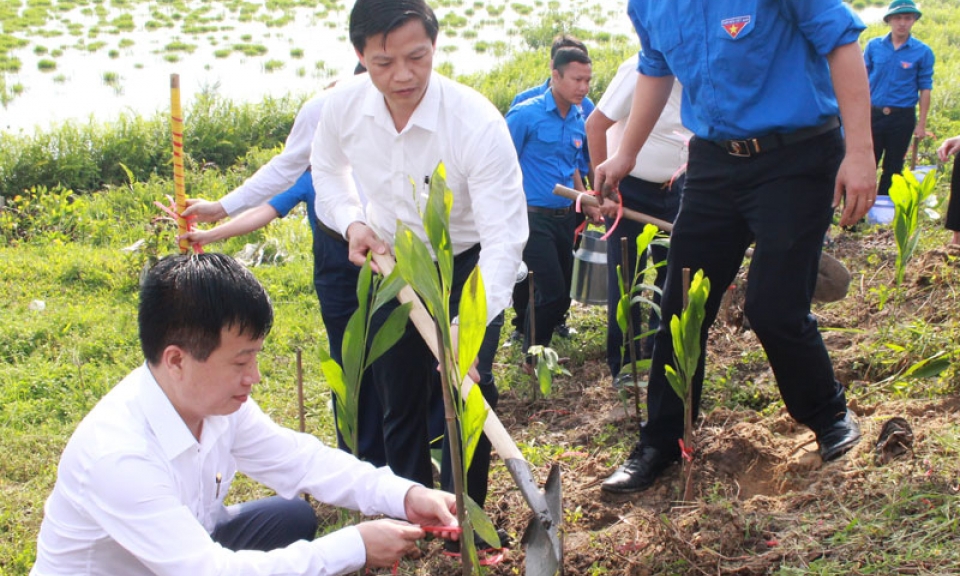 Thành Đoàn Bắc Ninh ra mắt công trình “Đường cây thanh niên”