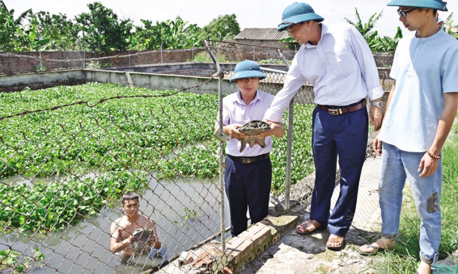 Đảng bộ Phú Lương 5 năm liên tục hoàn thành xuất sắc nhiệm vụ