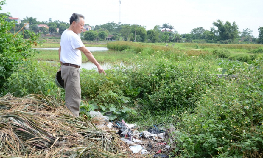 Về việc đổ thuốc diệt ốc bươu vàng  tại thôn Văn Phong, xã Châu Phong