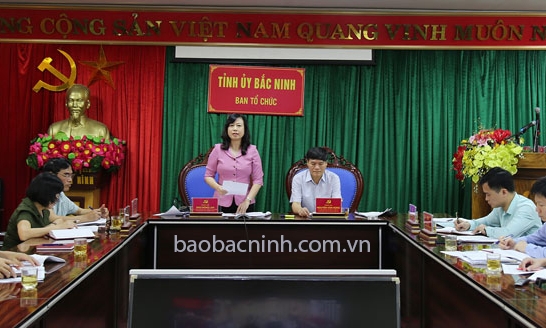 Góp ý vào Dự thảo Tờ trình, báo cáo Quy chế bầu cử Đại hội Đại biểu toàn quốc lần thứ XIII của Đảng