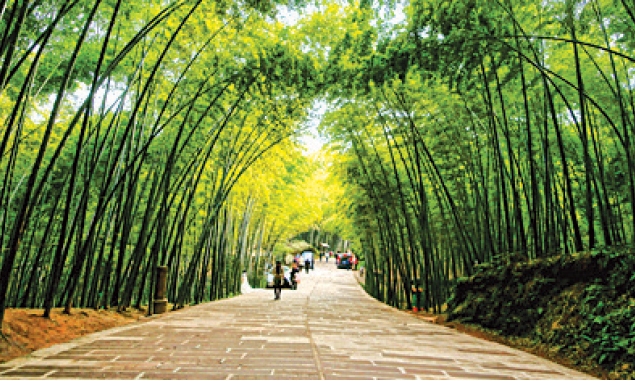 Đường xưa dấu cũ