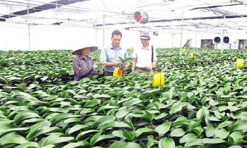 Vóc dáng mới trên miền đất cổ