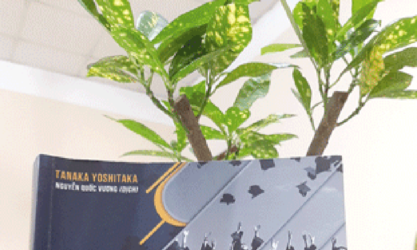 Một góc nhìn chân thực về cải cách giáo dục Việt Nam