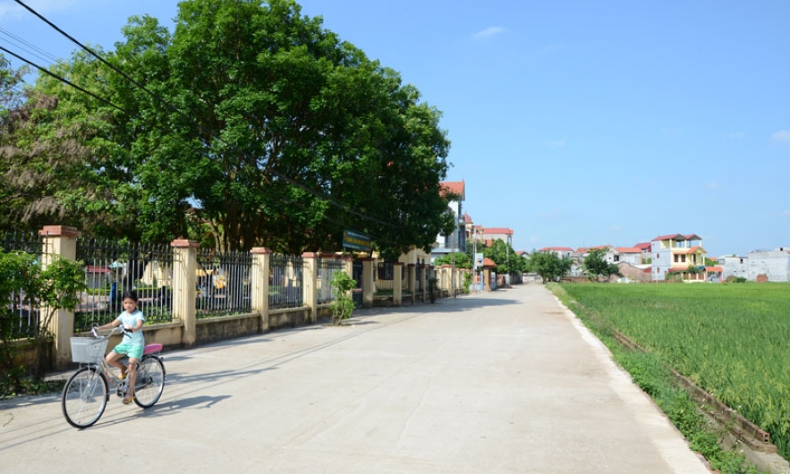 Xây dựng Nông thôn mới  ở xã Đình Tổ