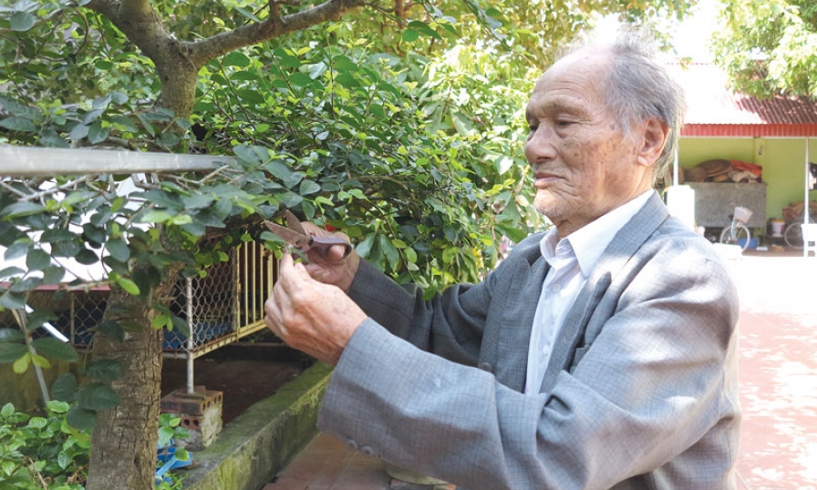 Học Bác lòng ta trong sáng hơn