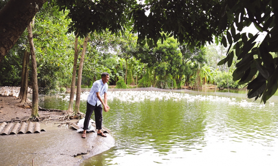Bí thư Chi bộ tiên phong