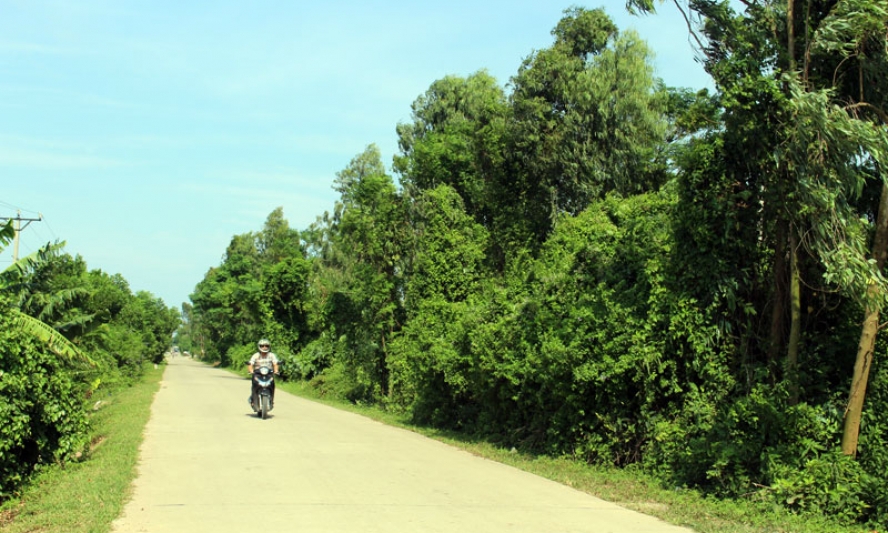Đảng bộ xã Song Liễu nâng cao năng lực lãnh đạo và sức chiến đấu