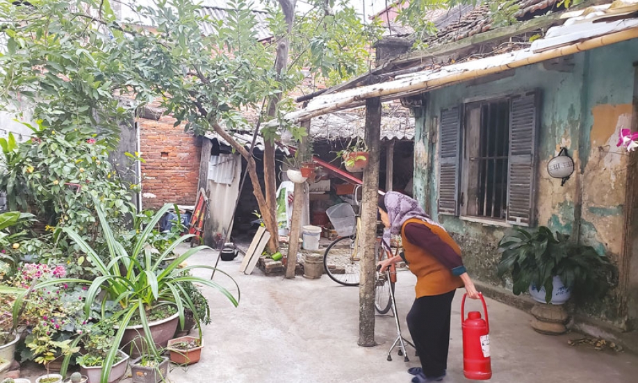Dáng mẹ, hồn quê