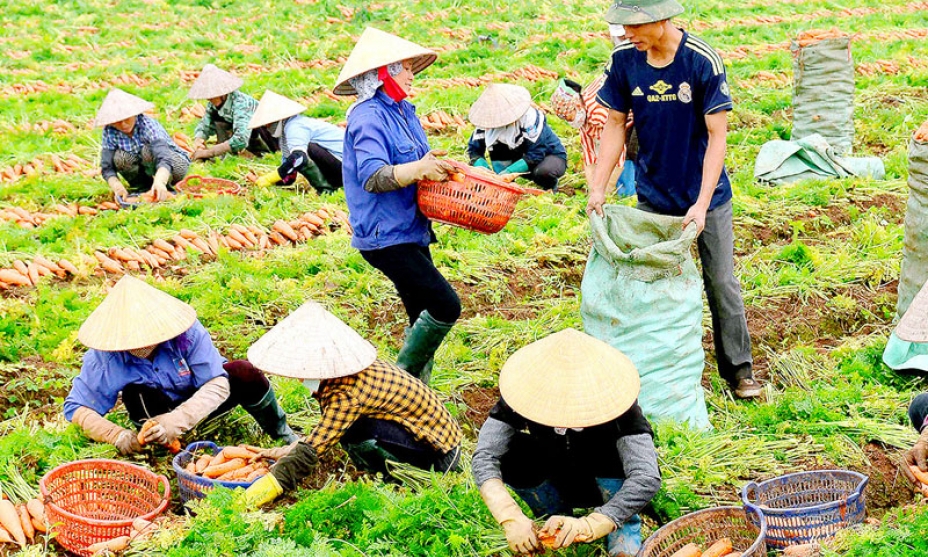 Đảng bộ Gia Bình tập trung nâng cao  chất lượng công tác xây dựng Đảng