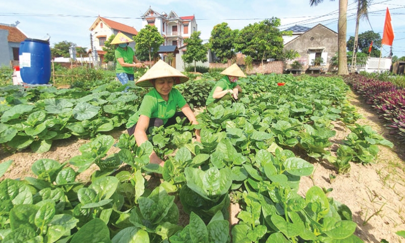 Biến rác thành... “tài nguyên”