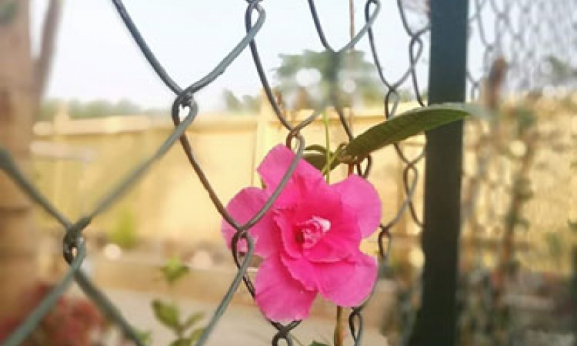 Cô đơn - Đừng sợ...