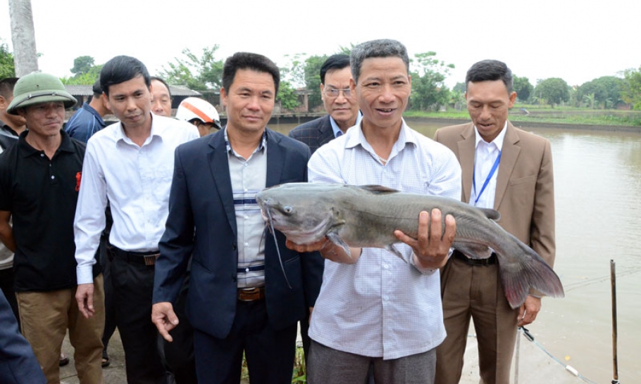 Lương Tài đổi thay cùng mùa xuân