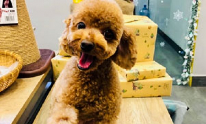 Hãy sống đời thú vị theo cách của bạn