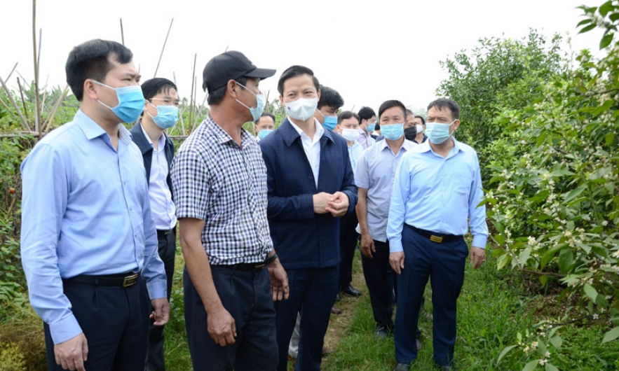 UBND tỉnh bàn giải pháp thực hiện nhiệm vụ xây dựng Nông thôn mới nâng cao