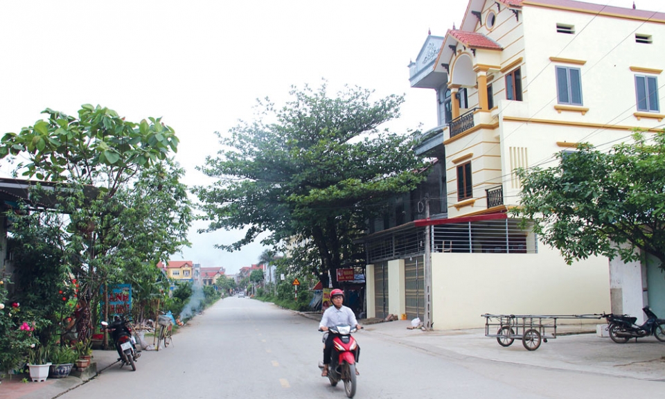 Tam Giang hướng tới mục tiêu  xây dựng Nông thôn mới nâng cao