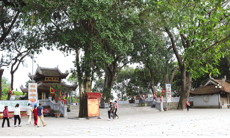 Hướng về nguồn cội