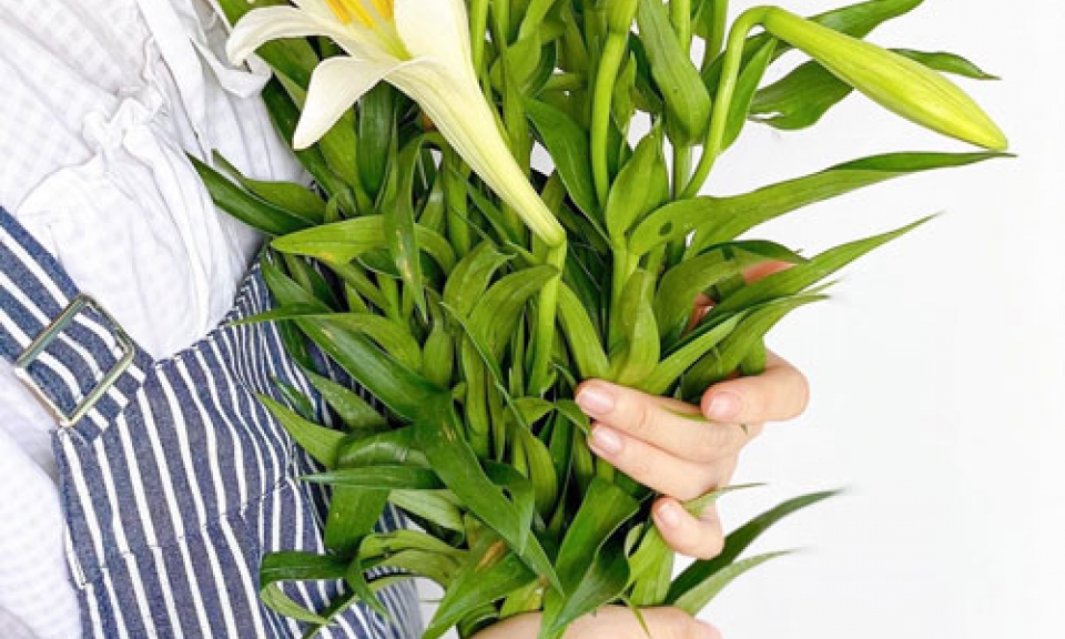 Tháng Tư đợi hoa về
