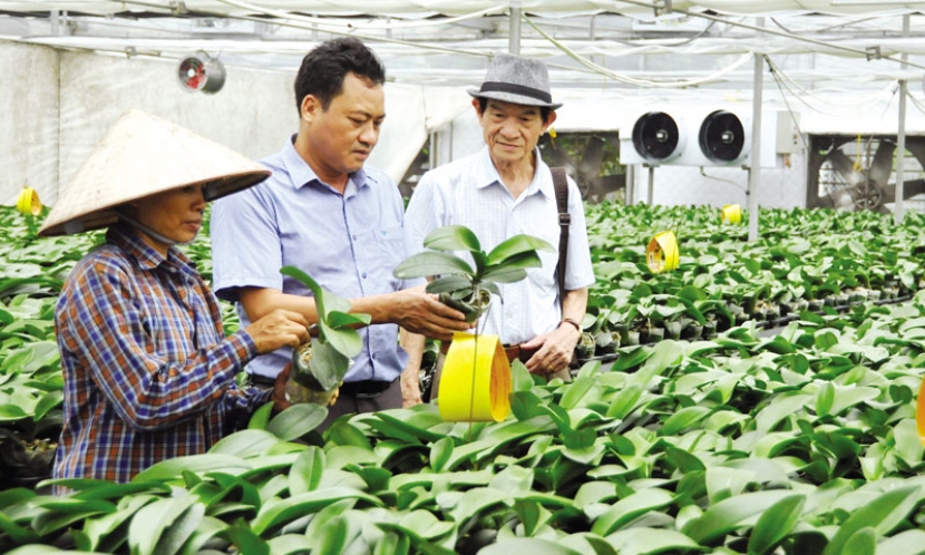 Nông thôn ngày mới