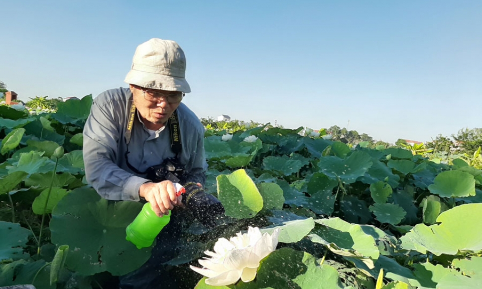 Sen cũng có cuộc đời như con người
