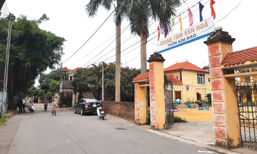 Tình người Kim Đào