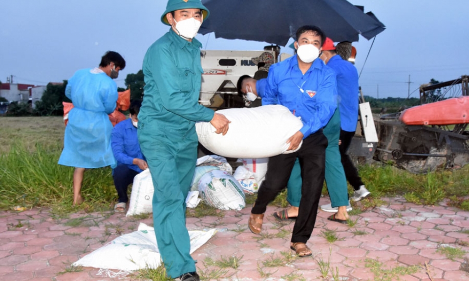 Chuyện từ tâm dịch Khắc Niệm-Những ngày thu hoạch lúa xuân