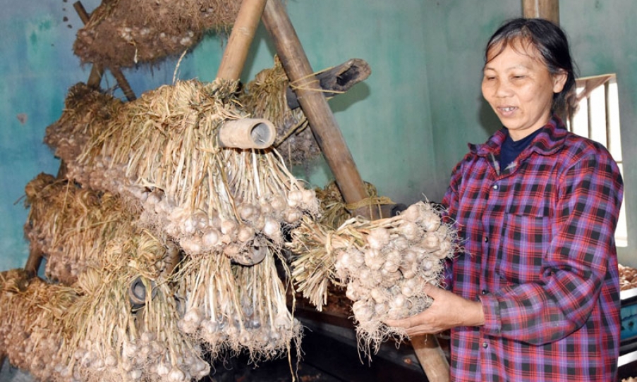 Tỏi An Thịnh và hành trình  khẳng định thương hiệu