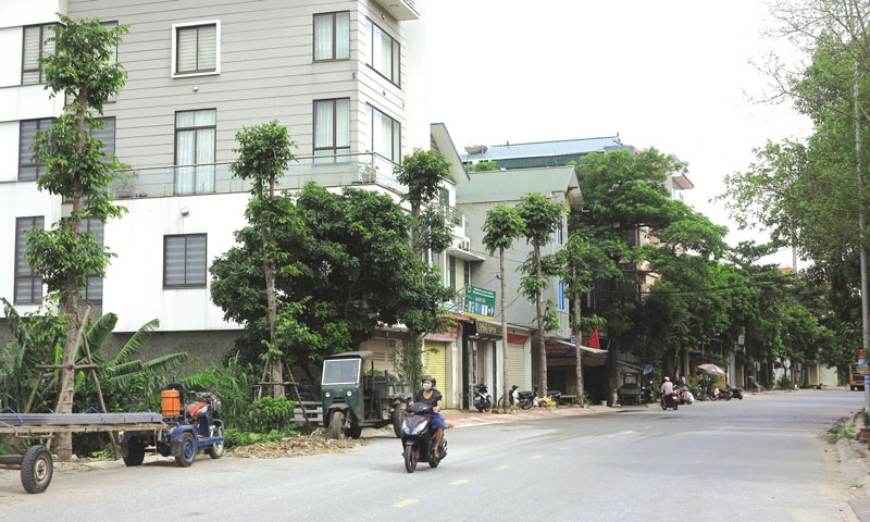 Trí Quả coi trọng thực hiện  nếp sống văn minh