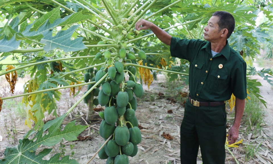 Bộ đội Cụ Hồ trên mặt trận mới