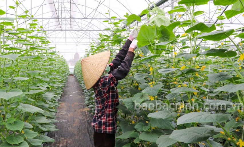 Tạo sức bật cho nông thôn  giai đoạn hội nhập