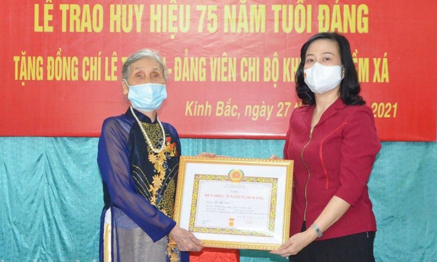 Bí thư Tỉnh ủy Đào Hồng Lan trao Huy hiệu Đảng đợt 2-9