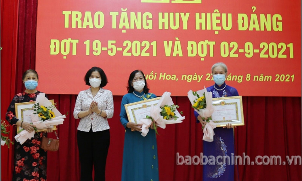 Phó Bí thư Tỉnh ủy, Chủ tịch UBND tỉnh Nguyễn Hương Giang trao Huy hiệu Đảng đợt 2-9