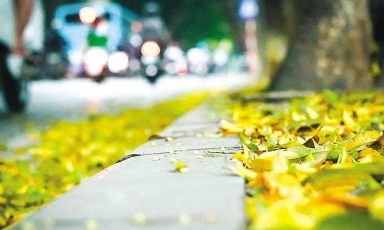 “Đâu phải bởi mùa thu”…