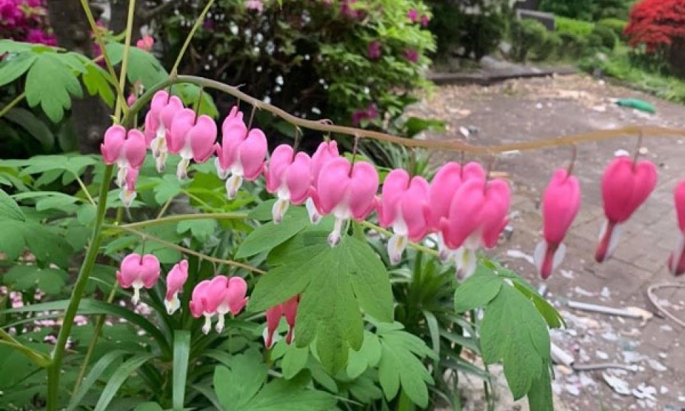 Điều kỳ diệu