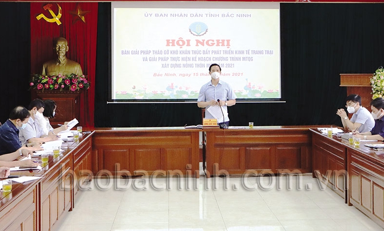 UBND tỉnh bàn giải pháp thúc đẩy phát triển kinh tế trang trại và xây dựng Nông thôn mới