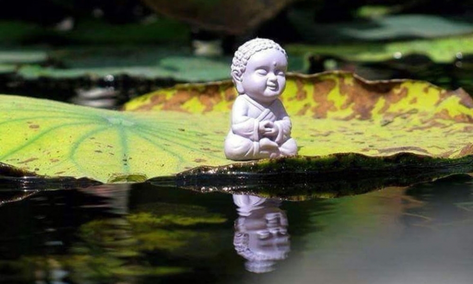 Hãy để nỗi đau ngủ yên