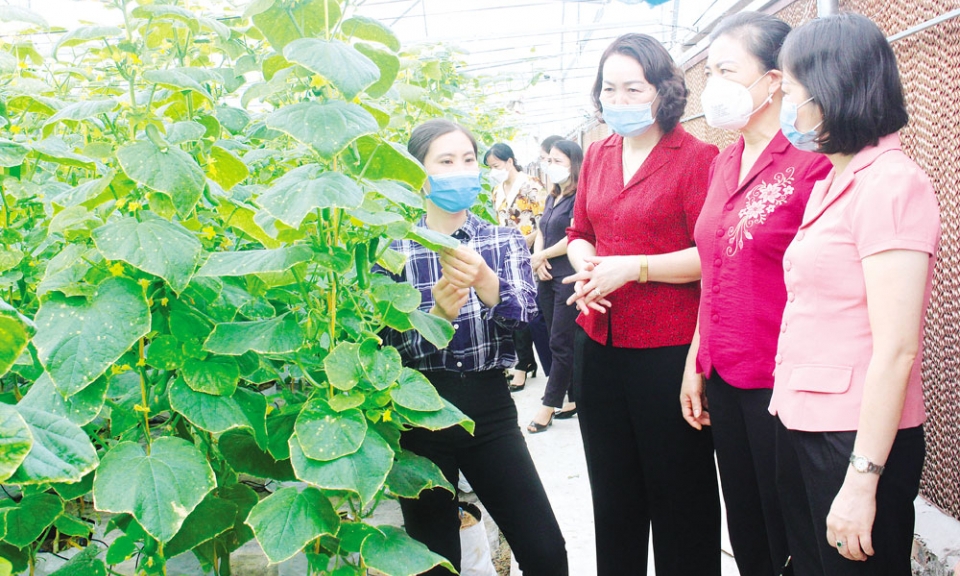 Những việc làm ý nghĩa