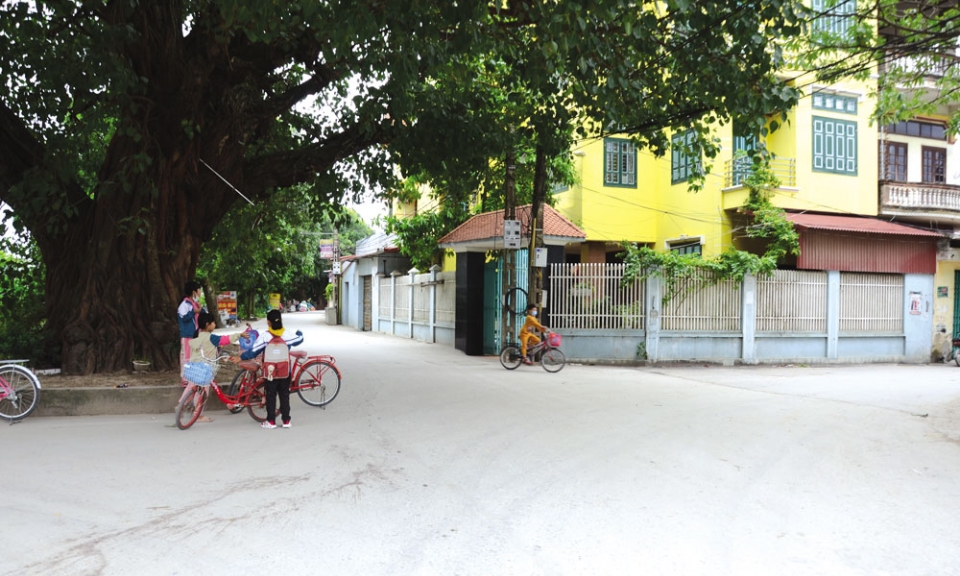 Tam Giang cán đích nông thôn mới nâng cao