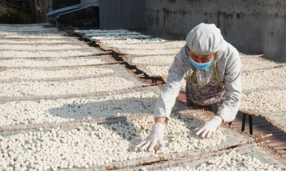 Bánh khoai Thị Cầu, món quà quê dịp Tết
