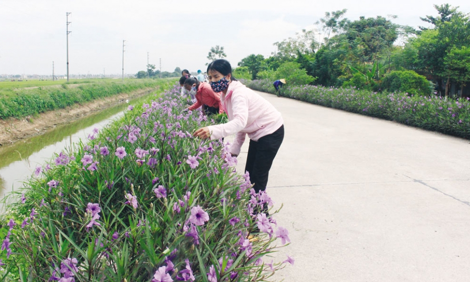 Phụ nữ Đình Tổ xây dựng Nông thôn mới