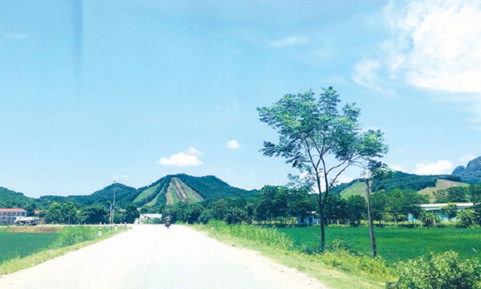 Yêu nhau yêu cả đường đi...