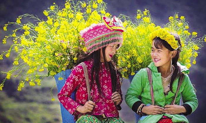 Hồn quê
