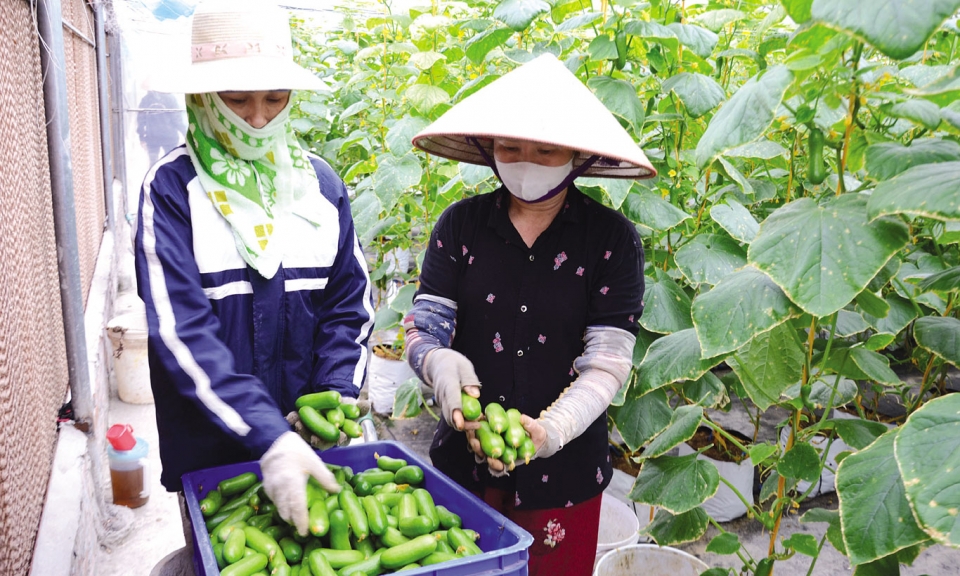 Khởi tạo nền nông nghiệp thông minh