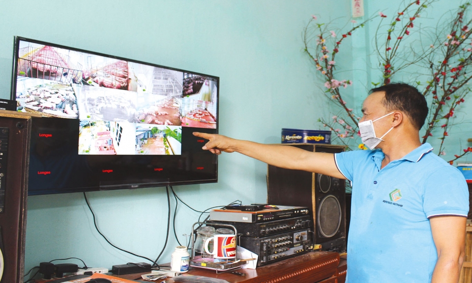 Những nông dân “bám đất” làm giàu